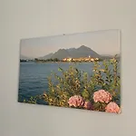 아파트 Rosada
