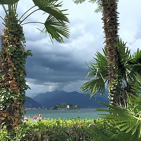 Rosada Daire Stresa