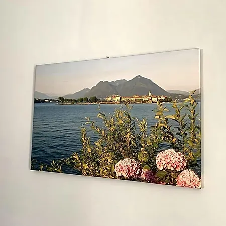Rosada Daire Stresa