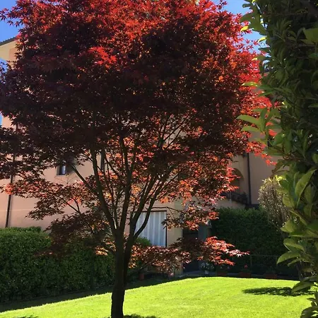 Apartmán Rosada Stresa