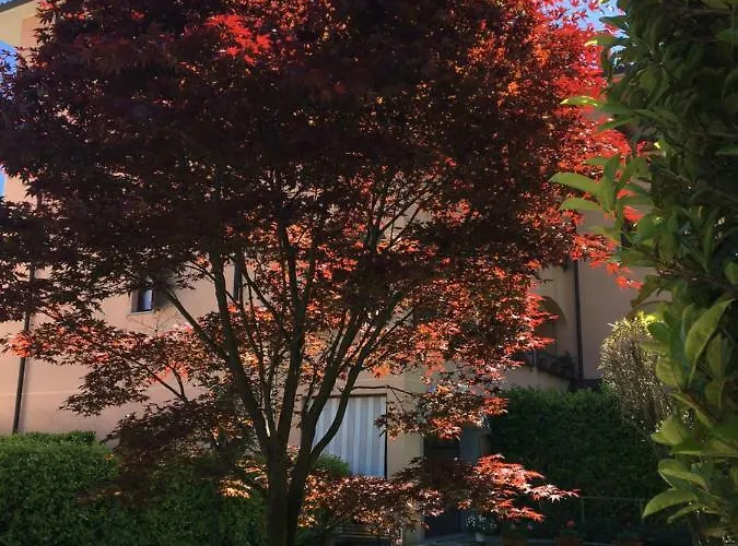 Appartement Rosada Stresa